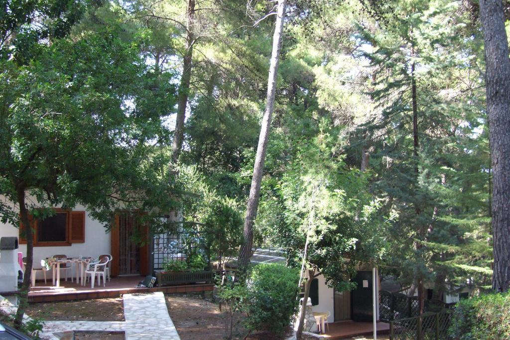 Camping Villaggio Internazionale San Menaio Zimmer foto
